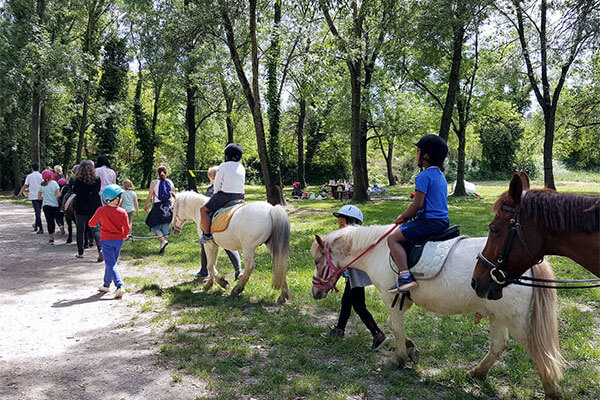 Equine assisted therapy (Adults & children)